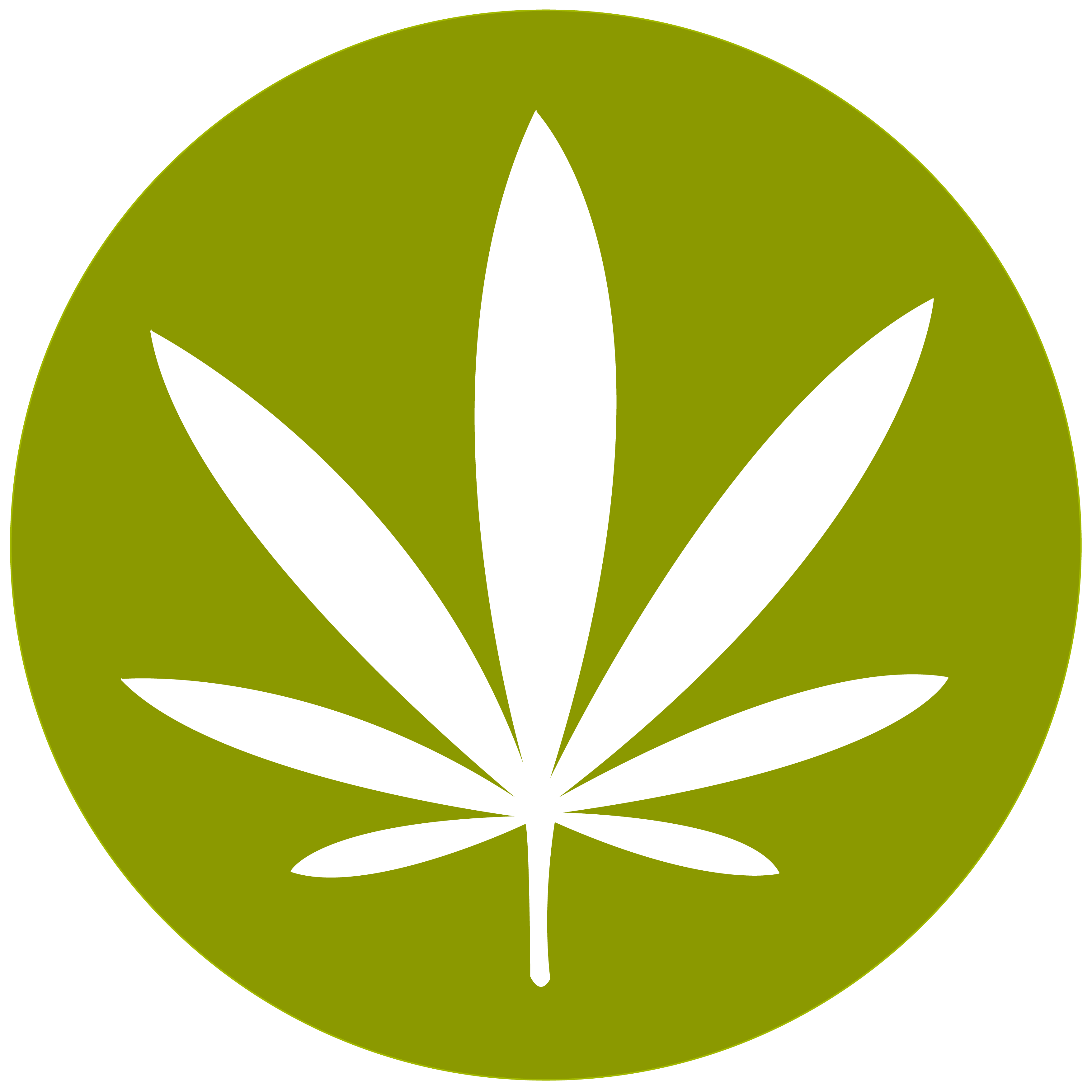 Cannabis Security in RI